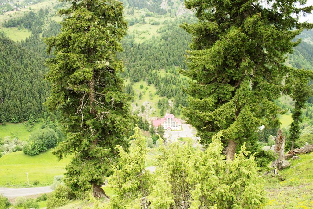 Hotel Green Valley Şavşat Dış mekan fotoğraf