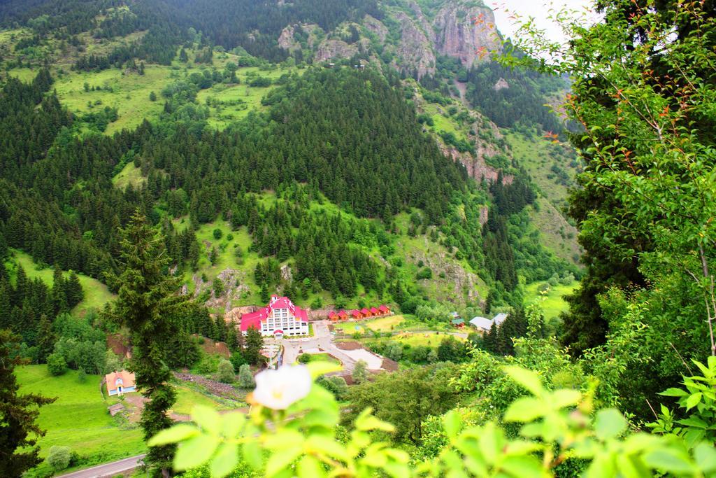 Hotel Green Valley Şavşat Dış mekan fotoğraf