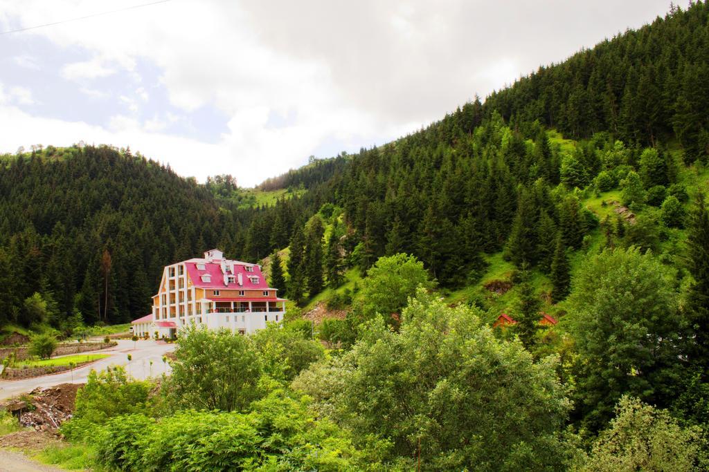 Hotel Green Valley Şavşat Dış mekan fotoğraf