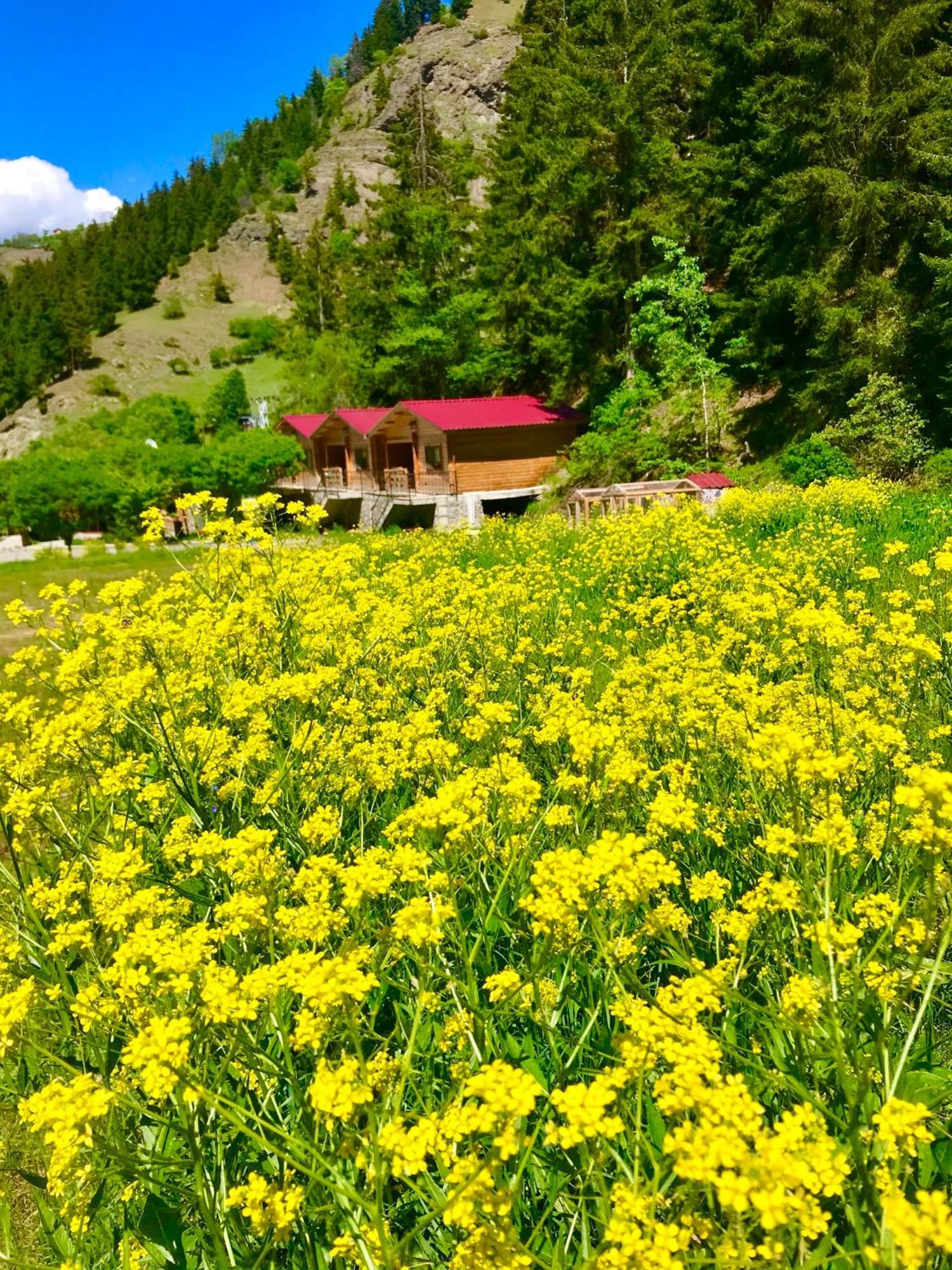 Hotel Green Valley Şavşat Dış mekan fotoğraf